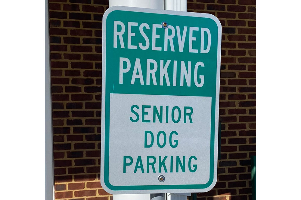A green and white sign mounted on a post reads “Reserved Parking – Senior Dog Parking” outside a brick building.